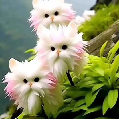 Nasiona orchidee kotego oka